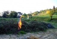 Bruciature residui coltivazioni agricole. Tavolo con l'onorevole Pietro Foglia