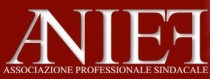 Logo Anief